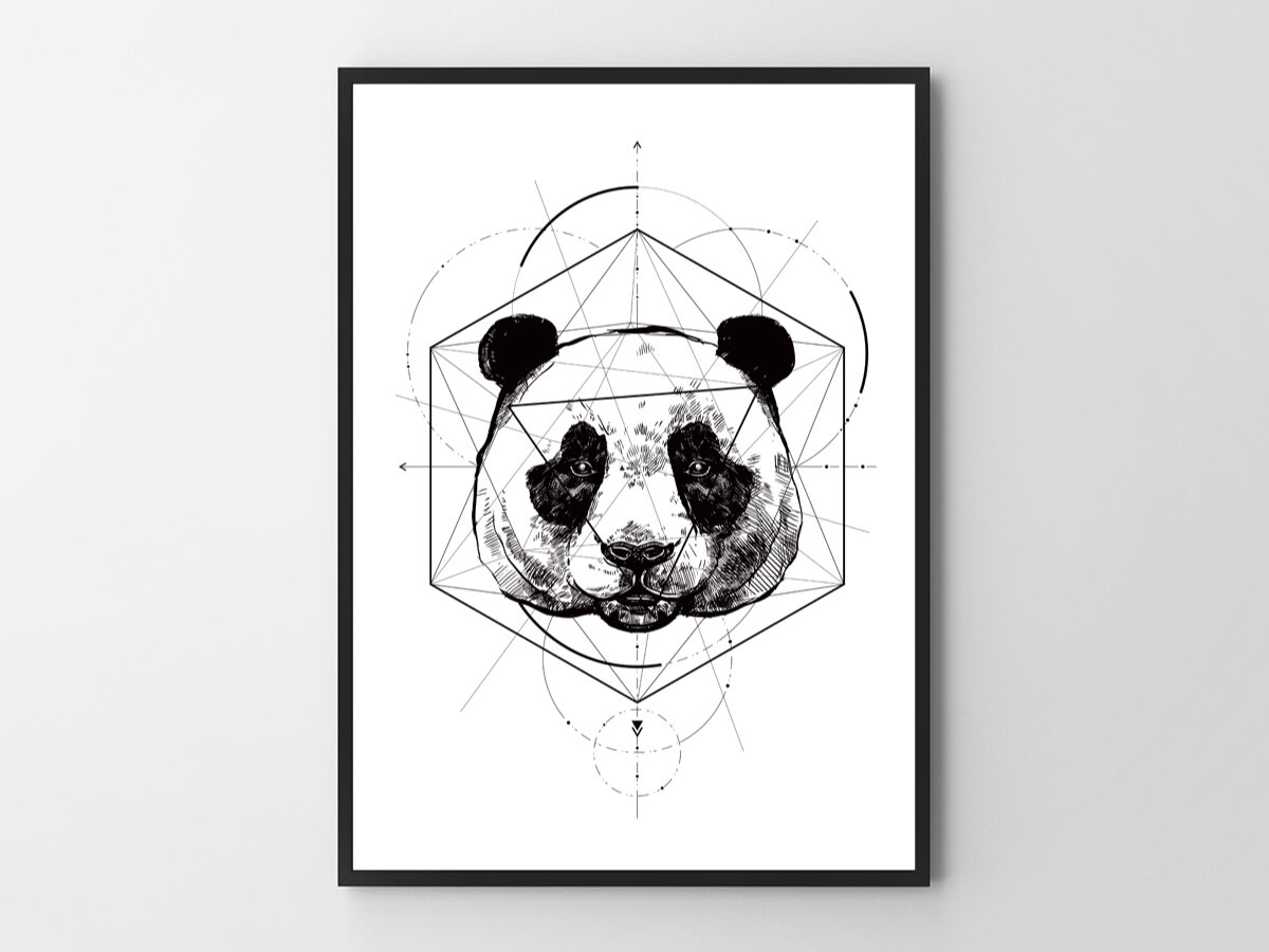 Plakat Panda Geometria 50x70 cm